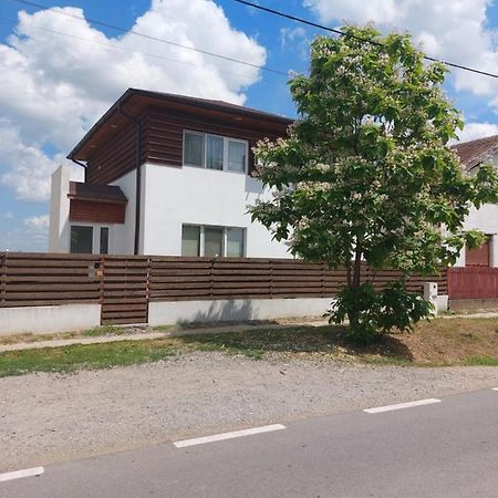 Vila Onix Săcueni Dış mekan fotoğraf