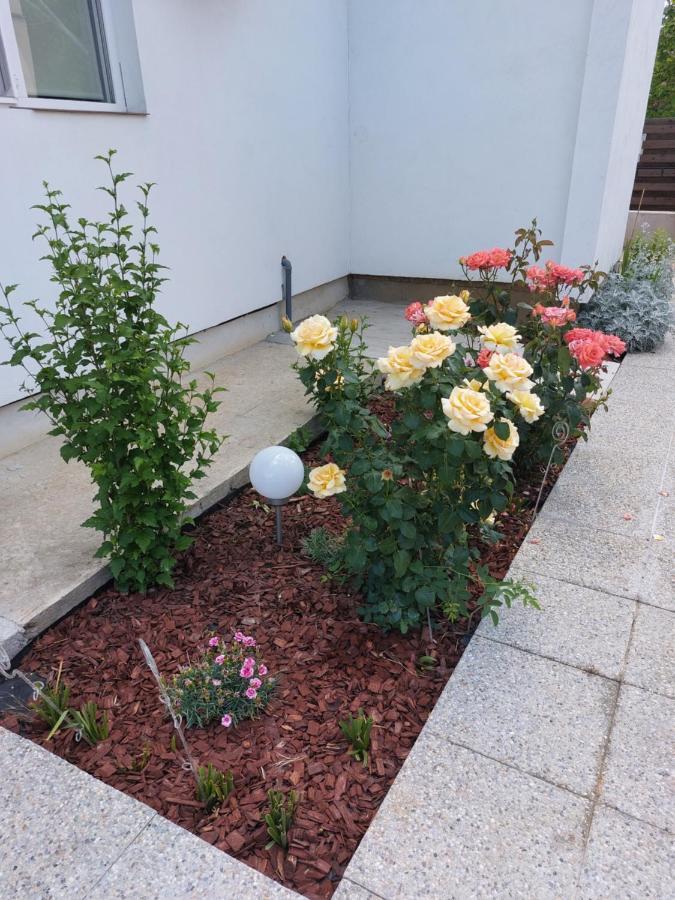 Vila Onix Săcueni Dış mekan fotoğraf